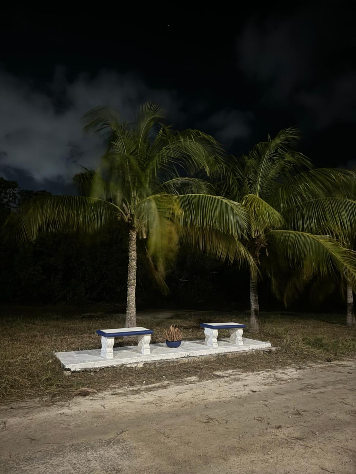 Caribbean Queen Cancún Kültér fotó